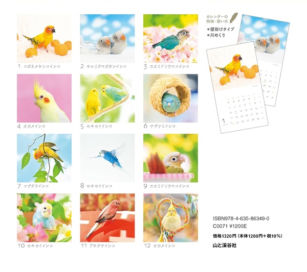 2027年 かわいんこ インコと小鳥のカレンダー | こんぱまるオンライン